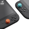 Savage Raven – Set de Couvre-Sticks pour Nintendo Switch 2